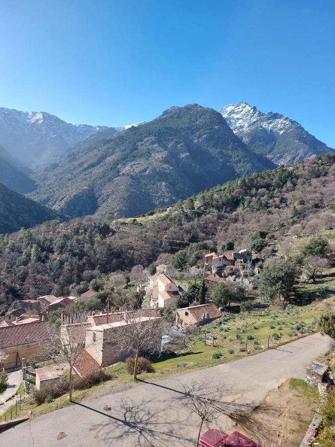 Residence E Cime Asco Locations De Studios Meubles Buitenkant foto